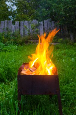 Kebaplar, akşam barbekü ve ateş.