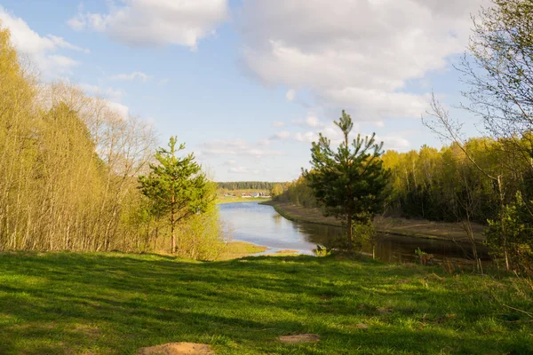 Höst Landskap Med Flod Och Träd — Stockfoto