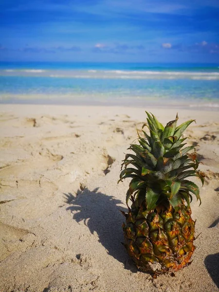 Pineapple on the beach in Varadero — Stock Photo, Image
