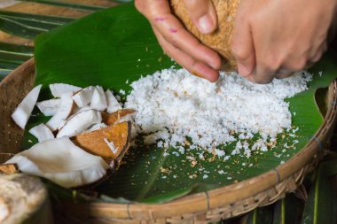 rendelenmiş hindistan cevizi