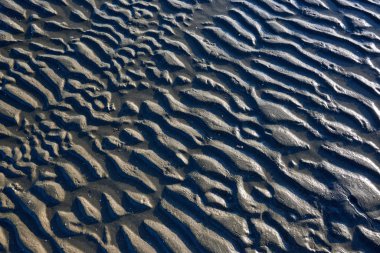 Dalgalar çekildiğinde kumsalda ıslak kum dokusu.