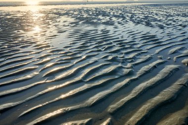 Dalgalar çekildiğinde kumsalda ıslak kum dokusu.