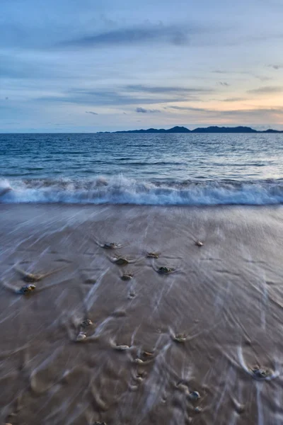 Sahilde kayaların olduğu sakin bir denizin akşam manzarası..