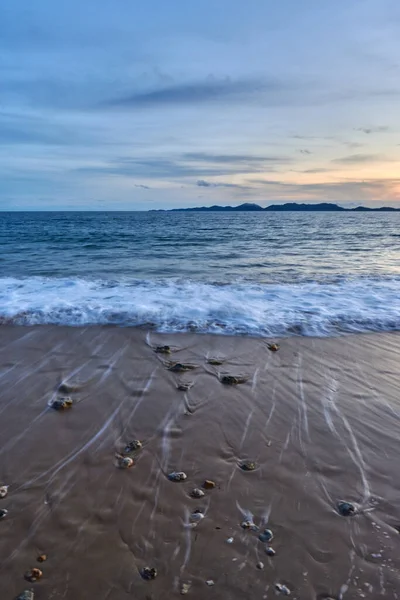 Sahilde kayaların olduğu sakin bir denizin akşam manzarası..