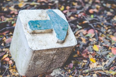 İleri ok. Doğanın arka planına karşı bir taş üzerinde ok.