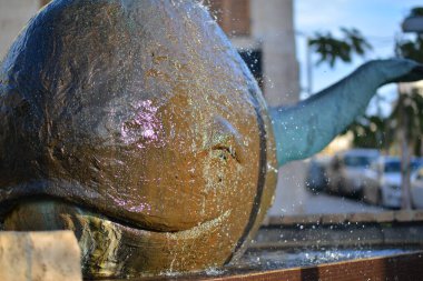 TEL AVIV, ISRAEL - 25 Kasım 2017: İsrail, Tel Aviv 'de balina şeklinde bir sokak çeşmesi.