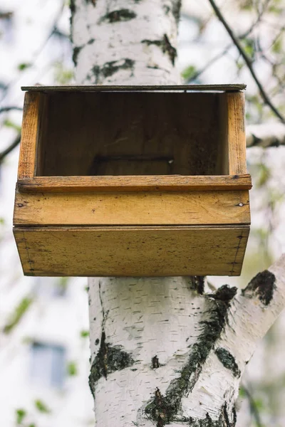 Domek Dla Ptaków Drzewie Lesie — Zdjęcie stockowe