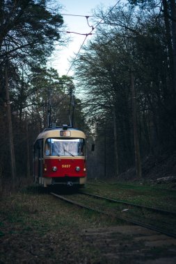 Baharda yeşil ormanda kırmızı tramvay. Bahar ormanında sihir