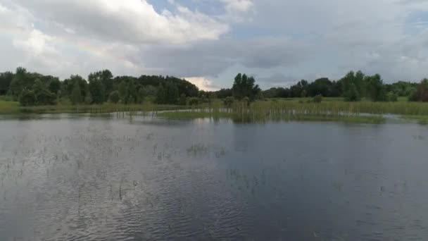 Aerial Lake Orlando Florida — Stock Video