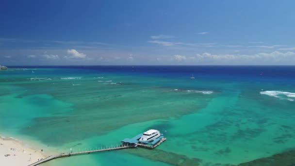 Aérea Playa Hawaii — Vídeos de Stock