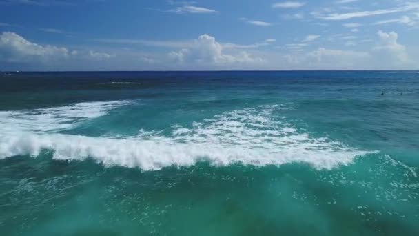 Hawaii Deki Kumsal Anteni — Stok video