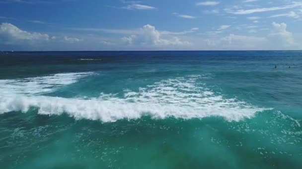 Aérea Playa Hawaii — Vídeos de Stock