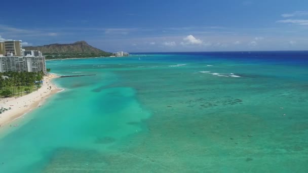 Antena Praia Hawaii — Vídeo de Stock