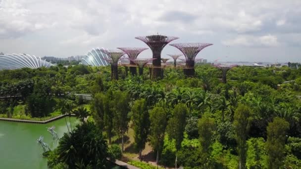 Antenn Trädgårdar Vid Bay Marina Reservoar Singapore — Stockvideo