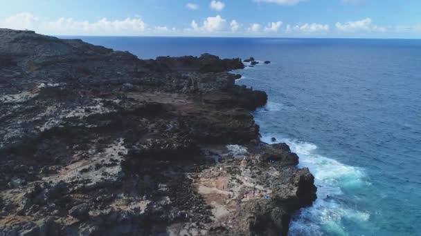 Antenn Gejser Oahu Hawaii — Stockvideo