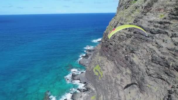 Aérea Isla Hawaii — Vídeo de stock