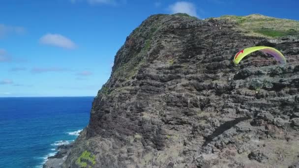 Hawaii Szigetének Levegője — Stock videók