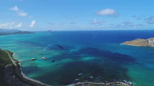 ハワイの島の空中 — ストック動画