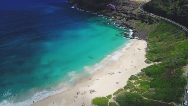 Aérea Isla Hawaii — Vídeos de Stock