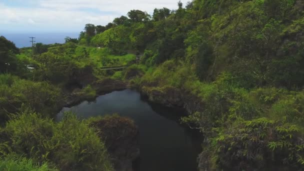 Aerial Lake Maui Hawaii — Stock Video