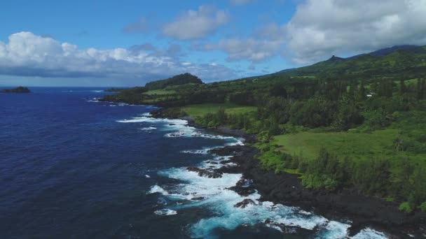 Antena Maui Hawaii — Vídeo de Stock