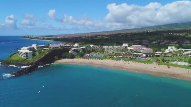 Antena Maui Hawaii — Vídeo de Stock
