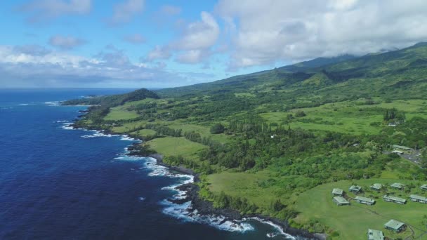 Maui Hawaii Anteni — Stok video