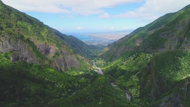 Antenne Vom Molokini Krater Maui Hawaii — Stockvideo