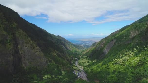 オアフ島ハワイの山の空中 — ストック動画
