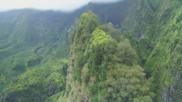 Aerea Montagne Oahu Hawaii — Video Stock