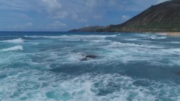 Antenn Havsvågor Oahu Hawaii — Stockvideo