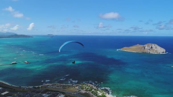 Antenn Fallskärm Oahu Hawaii — Stockvideo