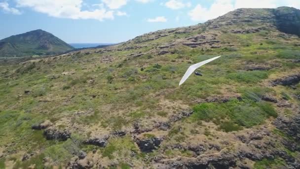 Udara Parachuter Oahu Hawaii — Stok Video