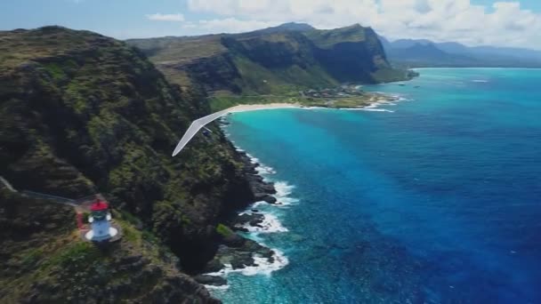 Aéreo Paracaidista Oahu Hawaii — Vídeo de stock