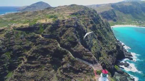Aerial Parachuter Oahu Hawaii — Stock Video