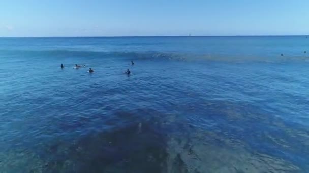 Aéreo Surfista Olas Honolulu Hawaii — Vídeos de Stock