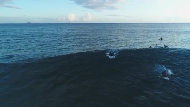 Aéreo Surfistas Oahu Hawaii — Vídeos de Stock