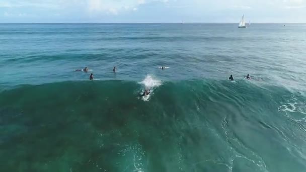 Oahu Hawaii Deki Sörfçülerin Havası — Stok video