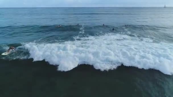 Aéreo Surfistas Oahu Hawaii — Vídeo de stock