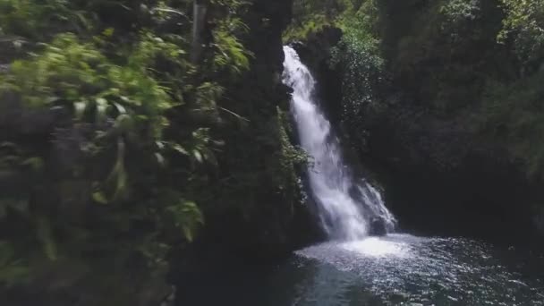 Антенна Водопадов Гавайях Мауи — стоковое видео