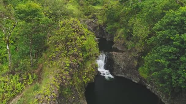 Antenne Van Watervallen Maui Hawaii — Stockvideo