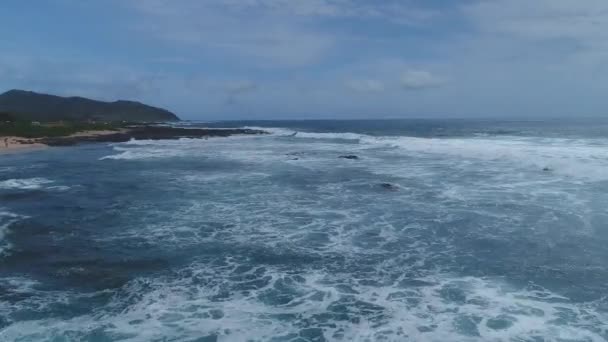 Aéreo Olas Oahu Hawaii — Vídeo de stock