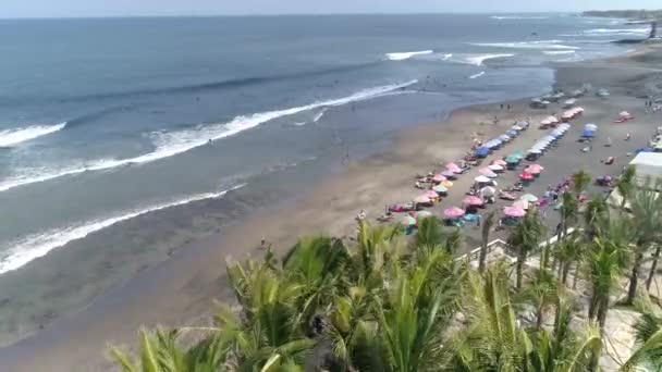 Bali Eco Paesaggio Spiaggia — Video Stock