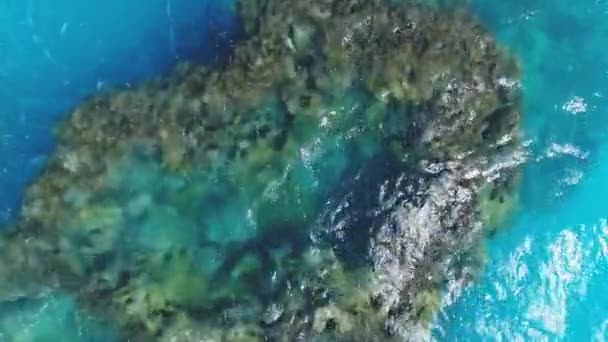 Bermuda Luchtfoto Strand Landschap — Stockvideo