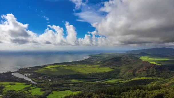 Hawaii Spiagge Paesaggio Aereo — Video Stock