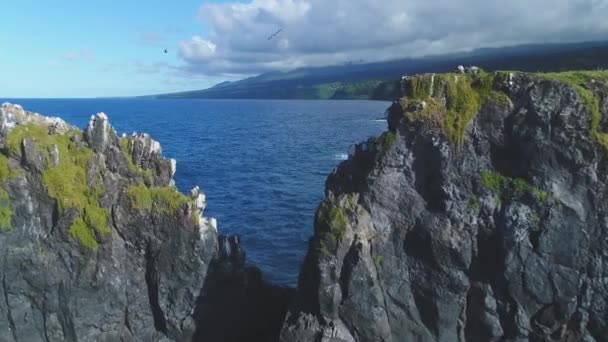 Hawaii Cliff Aerial Landscape — Stock Video