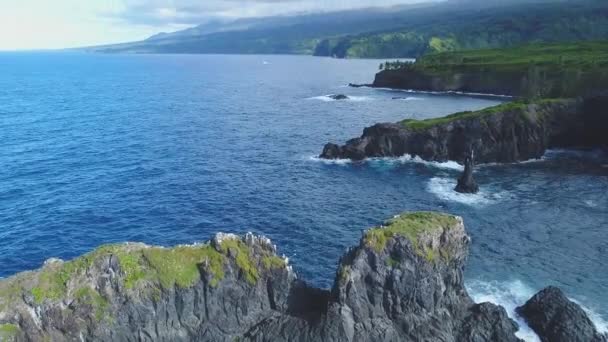 Hawaii Cliff Aerial Landscape — Stock Video