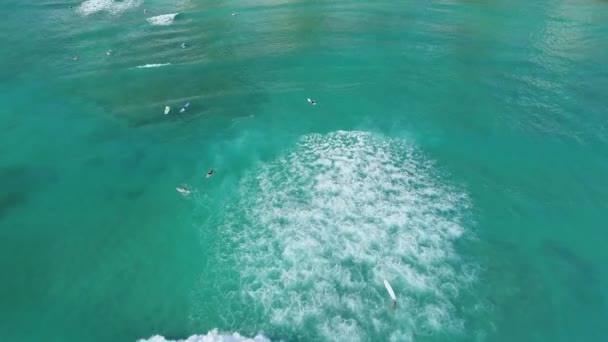 Gran Angular Aéreo Surfistas Oahu Hawaii — Vídeo de stock