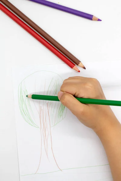 Mano Del Niño Dibujando Árbol Sábana Blanca —  Fotos de Stock