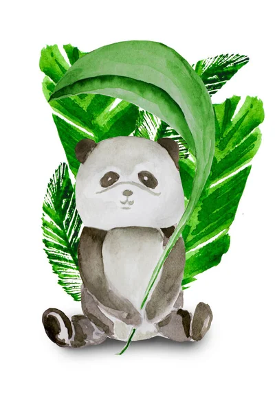 watercolor drawing of a panda with green leaves on a white background for the design of postcards, magazines, books